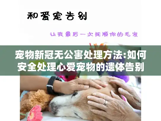 宠物新冠无公害处理方法:如何安全处理心爱宠物的遗体告别难题?