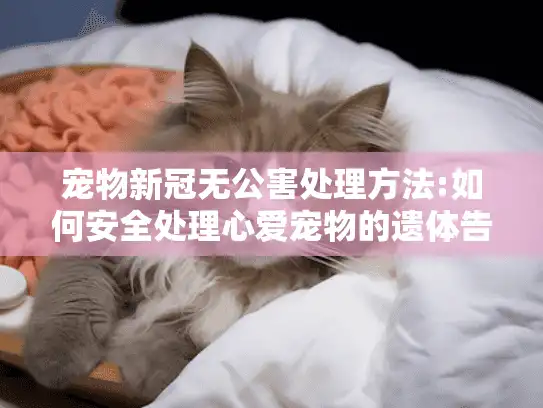 宠物新冠无公害处理方法:如何安全处理心爱宠物的遗体告别难题?