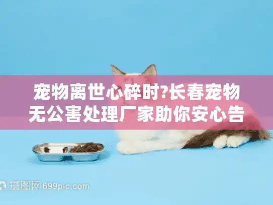宠物离世心碎时?长春宠物无公害处理厂家助你安心告别