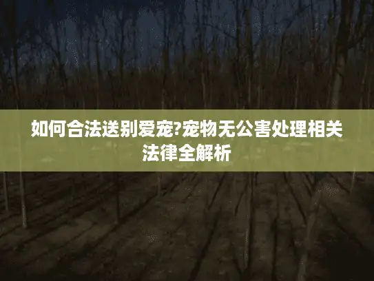 如何合法送别爱宠?宠物无公害处理相关法律全解析