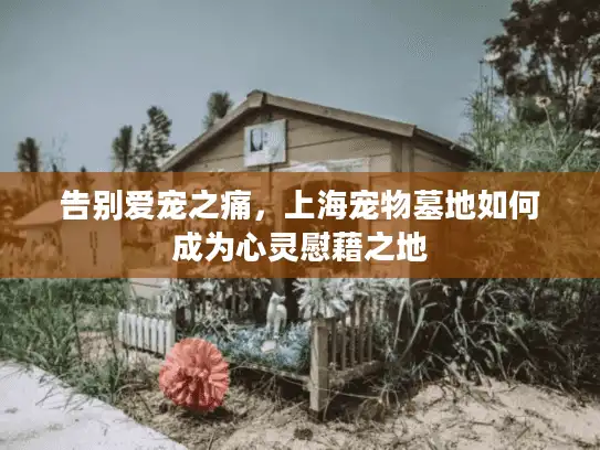 告别爱宠之痛，上海宠物墓地如何成为心灵慰藉之地