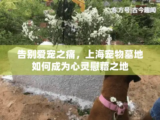 告别爱宠之痛，上海宠物墓地如何成为心灵慰藉之地