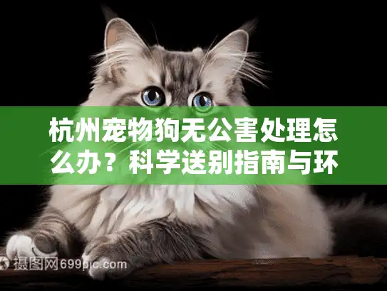 杭州宠物狗无公害处理怎么办？科学送别指南与环保选择