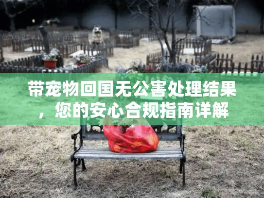 带宠物回国无公害处理结果，您的安心合规指南详解