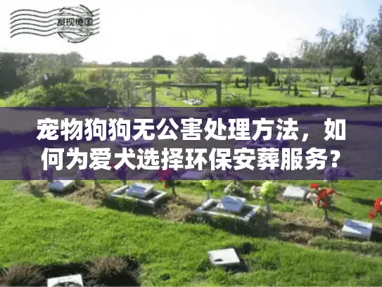 宠物狗狗无公害处理方法，如何为爱犬选择环保安葬服务？