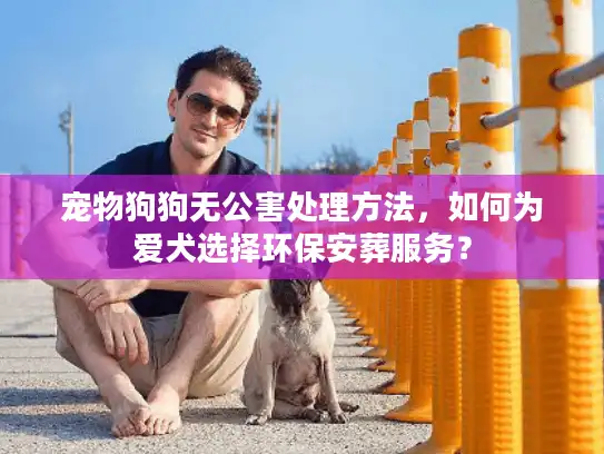 宠物狗狗无公害处理方法，如何为爱犬选择环保安葬服务？