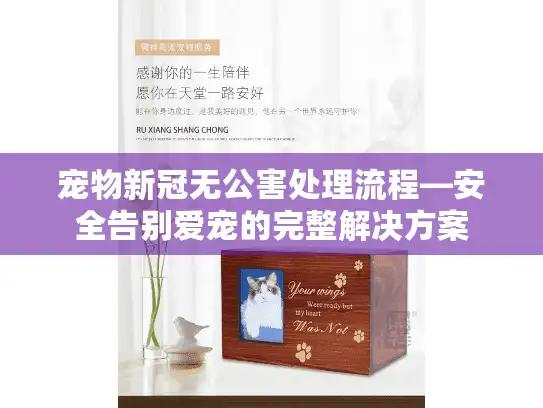 宠物新冠无公害处理流程—安全告别爱宠的完整解决方案