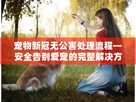 宠物新冠无公害处理流程—安全告别爱宠的完整解决方案