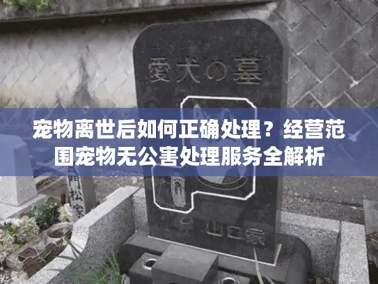 宠物离世后如何正确处理？经营范围宠物无公害处理服务全解析
