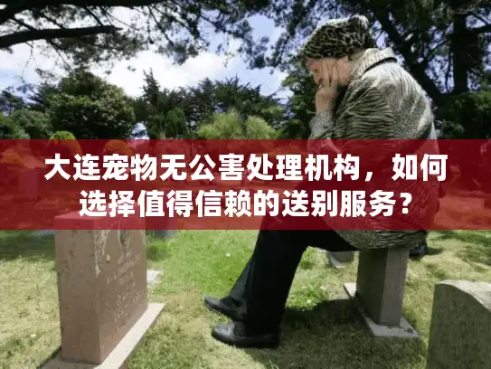大连宠物无公害处理机构，如何选择值得信赖的送别服务？