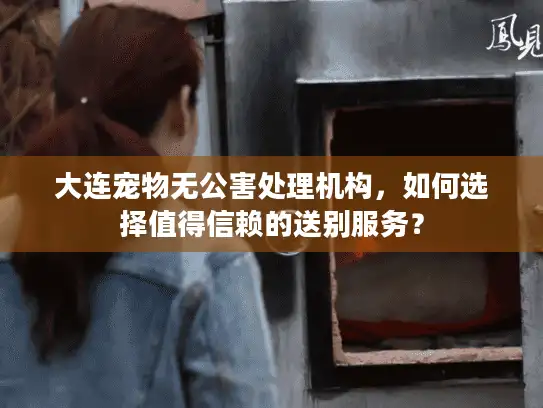 大连宠物无公害处理机构，如何选择值得信赖的送别服务？