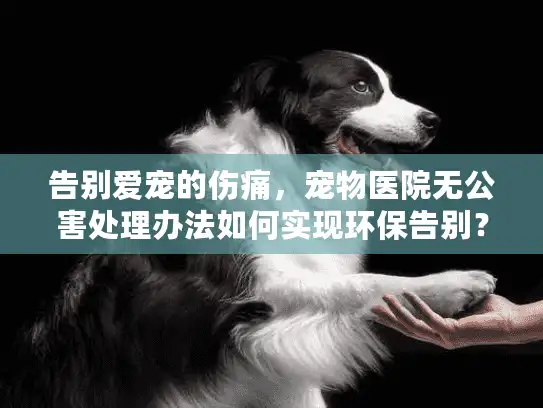告别爱宠的伤痛，宠物医院无公害处理办法如何实现环保告别？