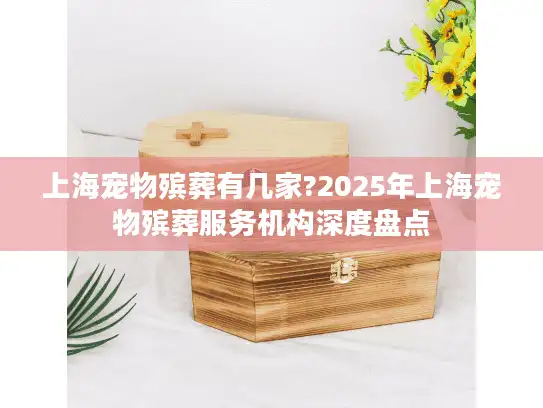 上海宠物殡葬有几家?2025年上海宠物殡葬服务机构深度盘点
