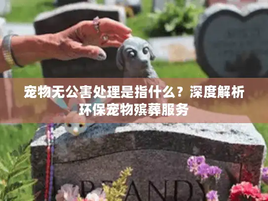 宠物无公害处理是指什么？深度解析环保宠物殡葬服务