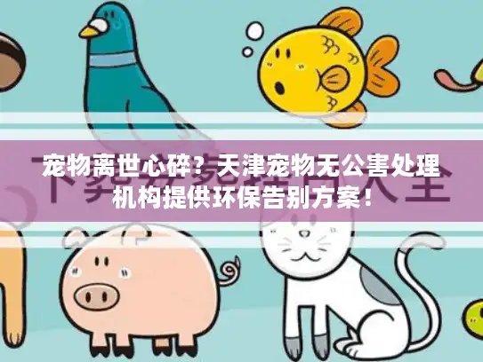 宠物离世心碎？天津宠物无公害处理机构提供环保告别方案！