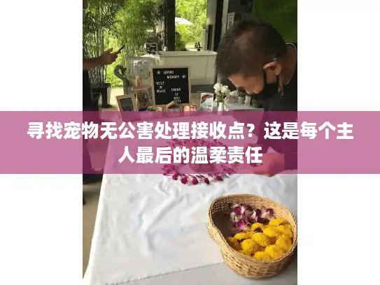 寻找宠物无公害处理接收点？这是每个主人最后的温柔责任