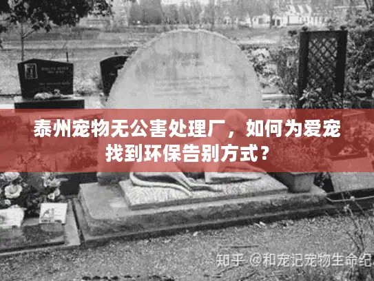 泰州宠物无公害处理厂，如何为爱宠找到环保告别方式？