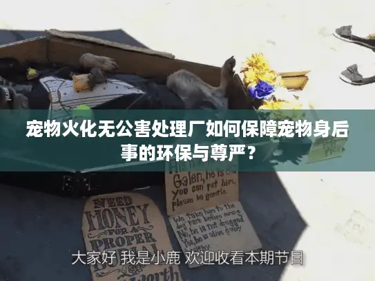 宠物火化无公害处理厂如何保障宠物身后事的环保与尊严？