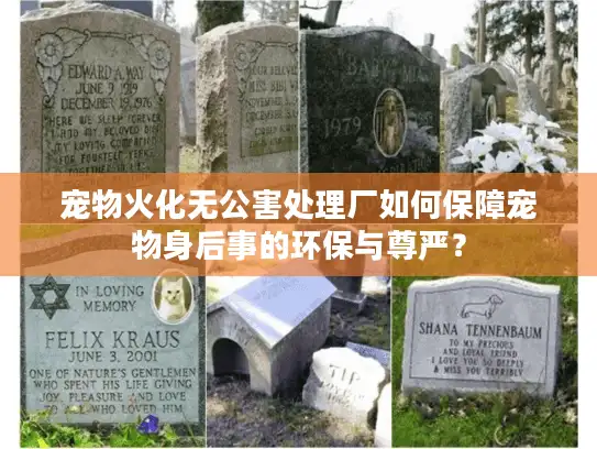 宠物火化无公害处理厂如何保障宠物身后事的环保与尊严？