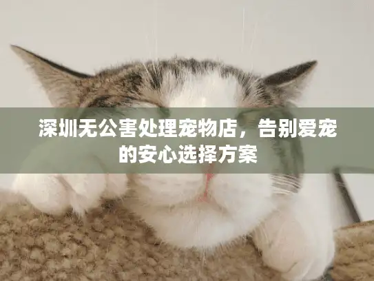 深圳无公害处理宠物店，告别爱宠的安心选择方案
