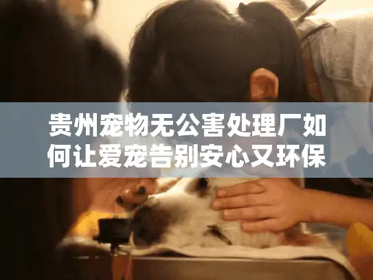 贵州宠物无公害处理厂如何让爱宠告别安心又环保?