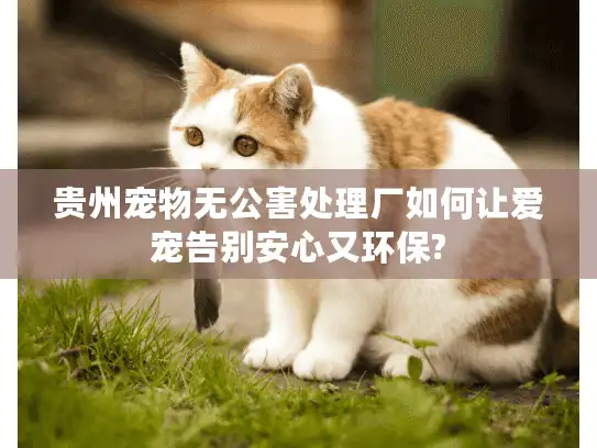 贵州宠物无公害处理厂如何让爱宠告别安心又环保?