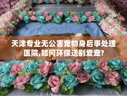 天津专业无公害宠物身后事处理医院,如何环保送别爱宠?
