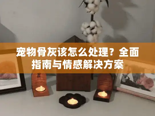 宠物骨灰该怎么处理？全面指南与情感解决方案