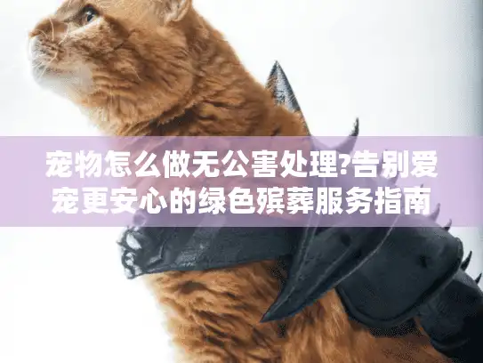 宠物怎么做无公害处理?告别爱宠更安心的绿色殡葬服务指南
