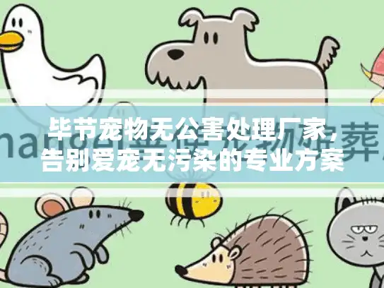 毕节宠物无公害处理厂家，告别爱宠无污染的专业方案