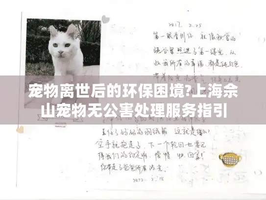 宠物离世后的环保困境?上海佘山宠物无公害处理服务指引