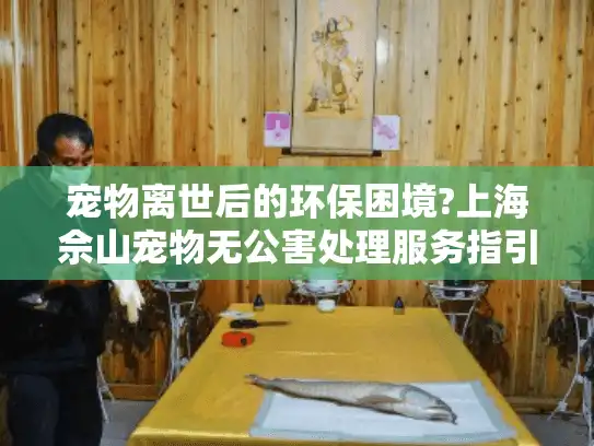 宠物离世后的环保困境?上海佘山宠物无公害处理服务指引