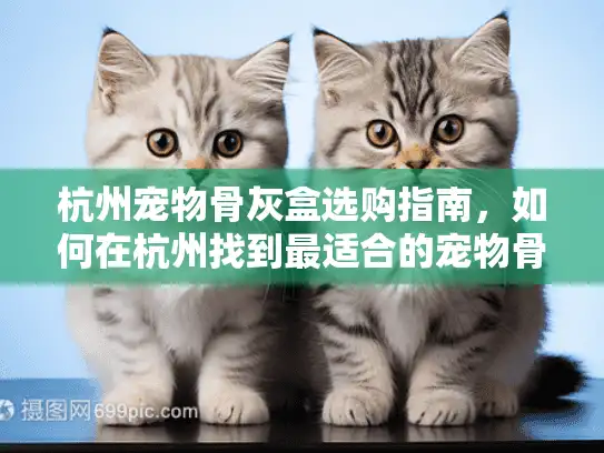 杭州宠物骨灰盒选购指南，如何在杭州找到最适合的宠物骨灰盒？