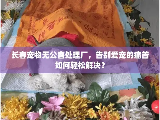 长春宠物无公害处理厂，告别爱宠的痛苦如何轻松解决？