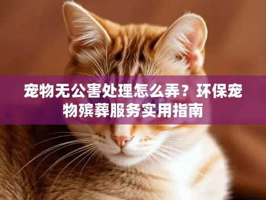 宠物无公害处理怎么弄？环保宠物殡葬服务实用指南