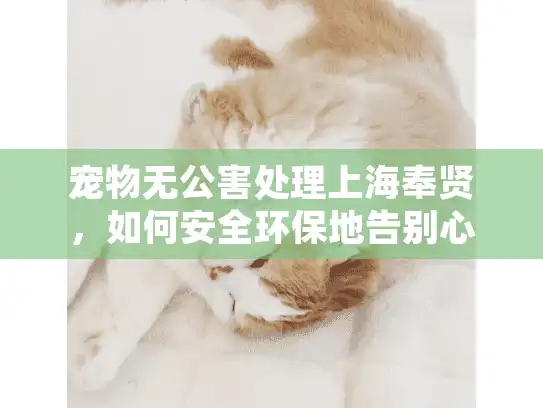 宠物无公害处理上海奉贤，如何安全环保地告别心爱宠物？