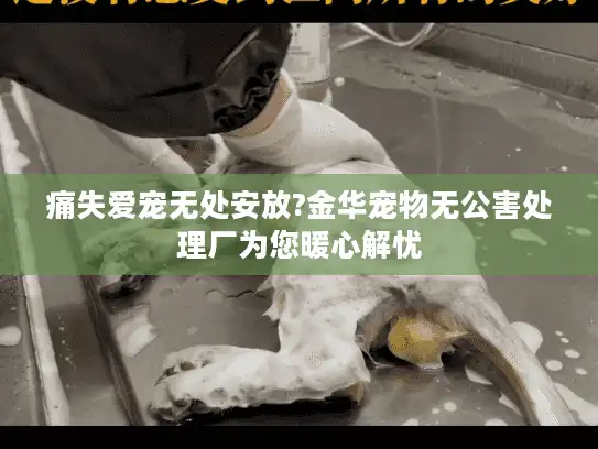 痛失爱宠无处安放?金华宠物无公害处理厂为您暖心解忧