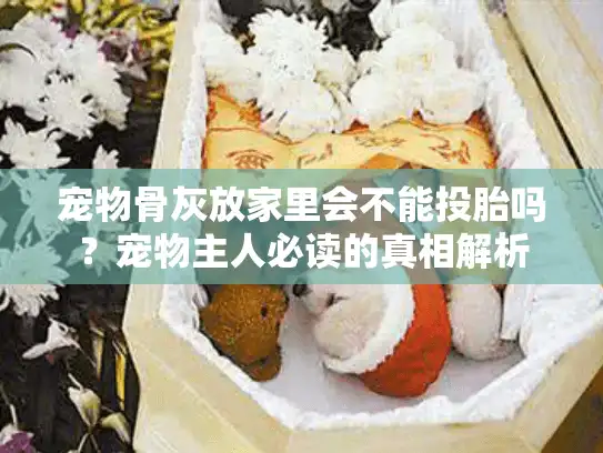 宠物骨灰放家里会不能投胎吗？宠物主人必读的真相解析