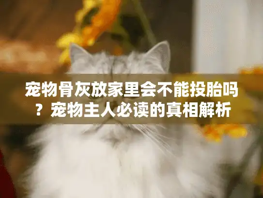 宠物骨灰放家里会不能投胎吗？宠物主人必读的真相解析