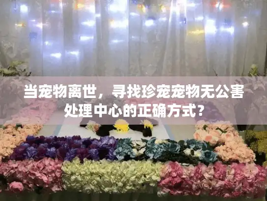 当宠物离世，寻找珍宠宠物无公害处理中心的正确方式？