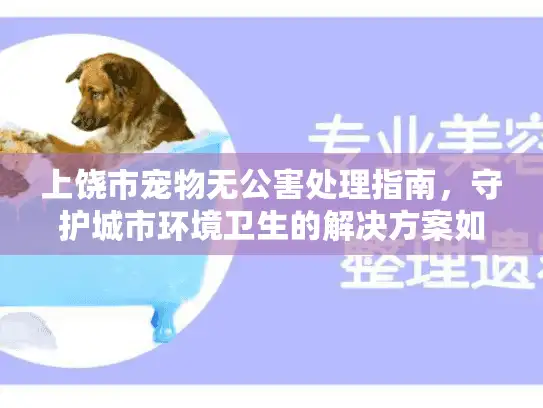 上饶市宠物无公害处理指南，守护城市环境卫生的解决方案如何实现？