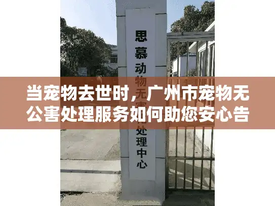 当宠物去世时，广州市宠物无公害处理服务如何助您安心告别？