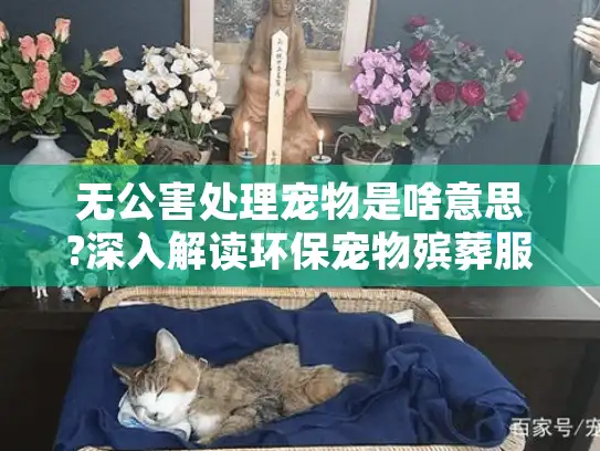 无公害处理宠物是啥意思?深入解读环保宠物殡葬服务核心