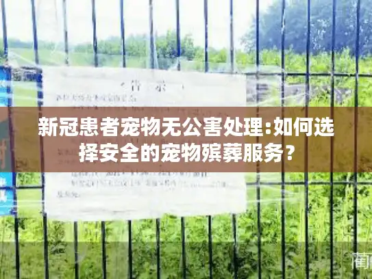 新冠患者宠物无公害处理:如何选择安全的宠物殡葬服务？