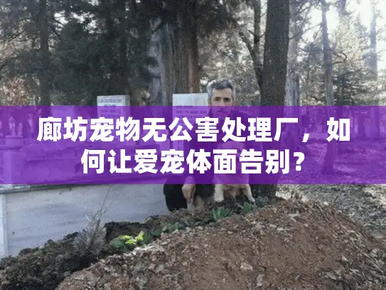 廊坊宠物无公害处理厂，如何让爱宠体面告别？