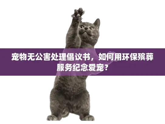 宠物无公害处理倡议书，如何用环保殡葬服务纪念爱宠？