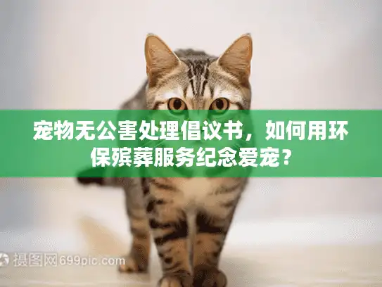 宠物无公害处理倡议书，如何用环保殡葬服务纪念爱宠？