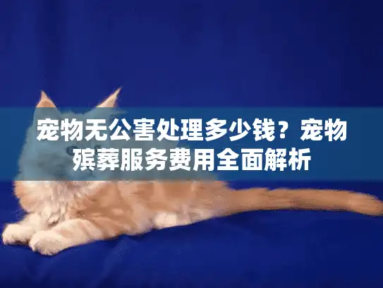 宠物无公害处理多少钱？宠物殡葬服务费用全面解析