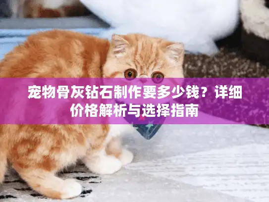 宠物骨灰钻石制作要多少钱？详细价格解析与选择指南