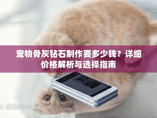 宠物骨灰钻石制作要多少钱？详细价格解析与选择指南